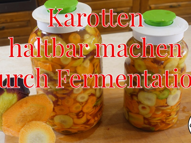Karotten fermentieren – Gemüse haltbar&nbsp;machen