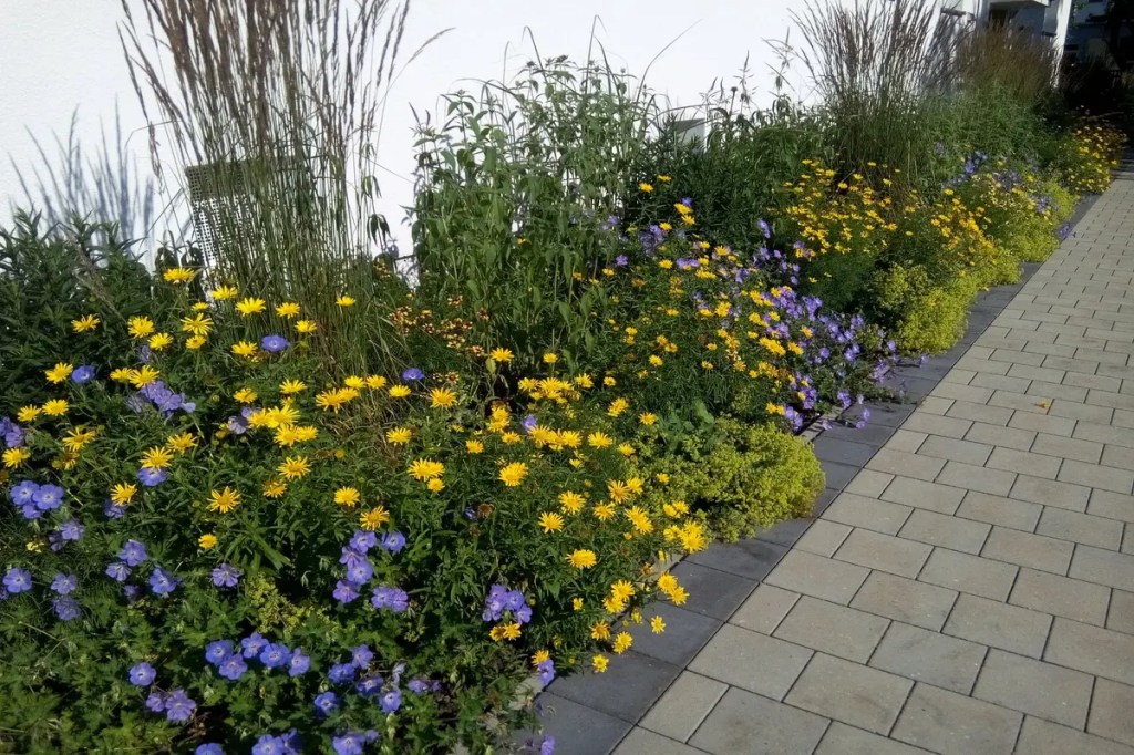 Staudenbeet als langfristige Nahrungsquelle für Insekten und Vögel