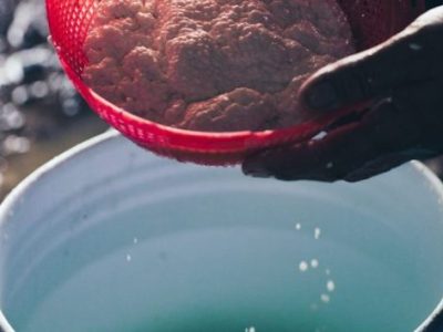 Molke – Der Rest der&nbsp;Käseproduktion