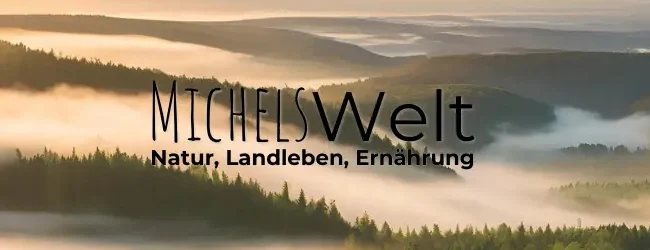 Ein Sonnenaufgang über den Hügeln des Böhmerwaldes