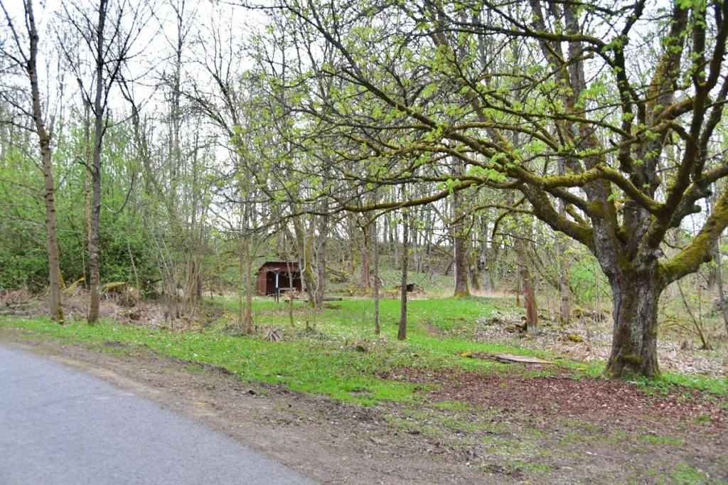 Verlassenes Dorf Bohuslav im Wald