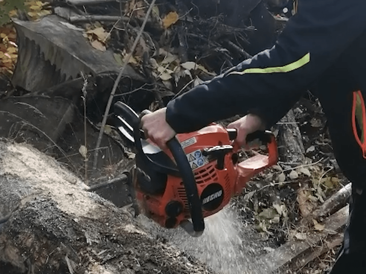 Motorsägenvergleich Stihl vs.&nbsp;Echo